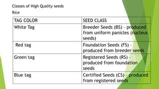 nucleus seed tag colour|Role of Seed Certification in Quality Assurance .